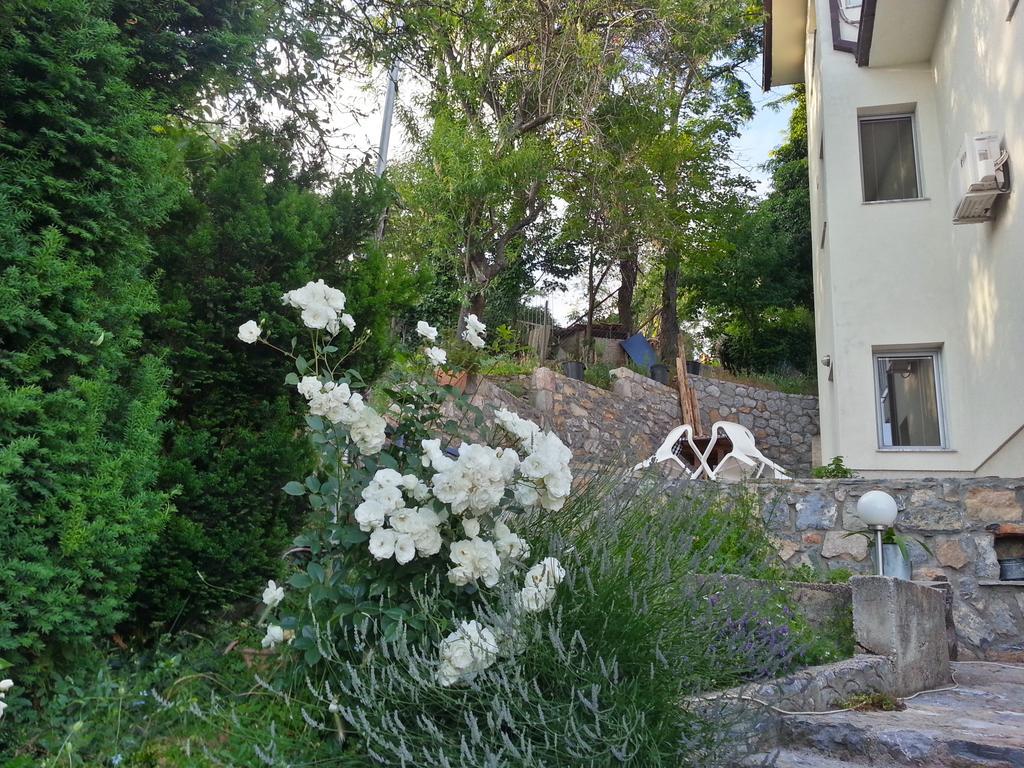 Maslov Apartments Ohrid Ngoại thất bức ảnh